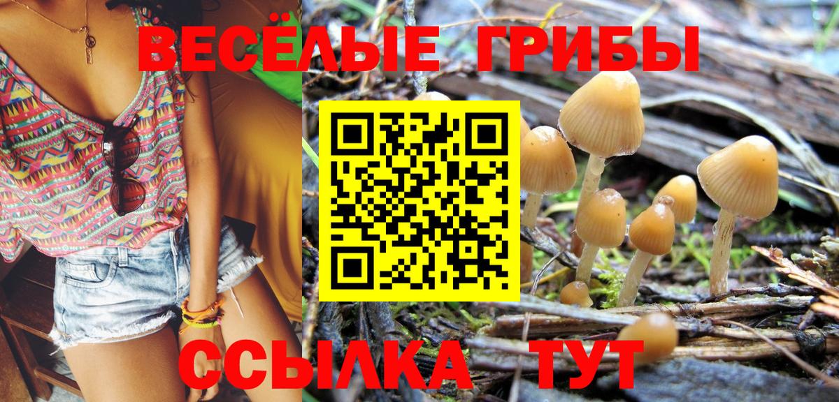 Псилоцибиновые грибы прущие грибы Лыткарино